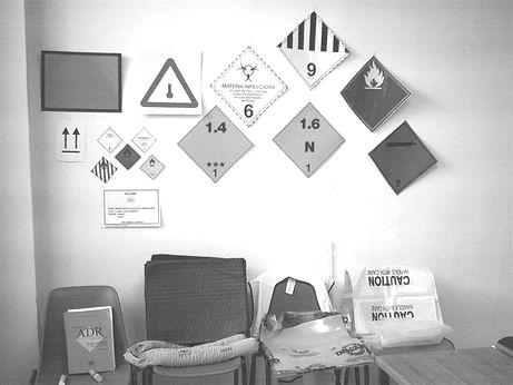 17 formacion