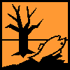 rtp